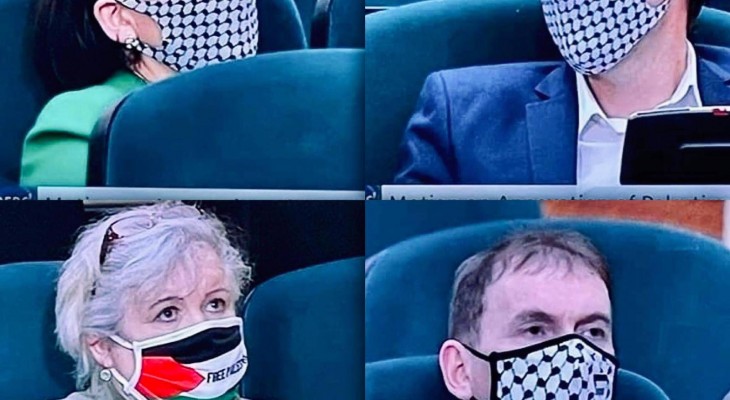البرلمان الايرلندي يصوت لصالح إدانة الضم الفعلي للأراضي الفلسطينية والتهجير القسري