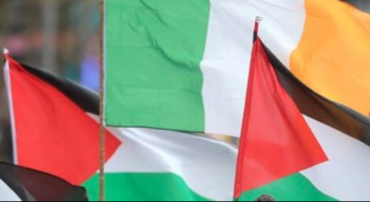 Lobbying and Advocacy for Palestine training (Dublin, Ireland)